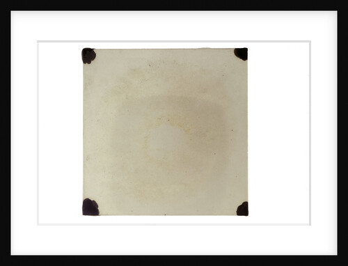Glass slide by Unknown