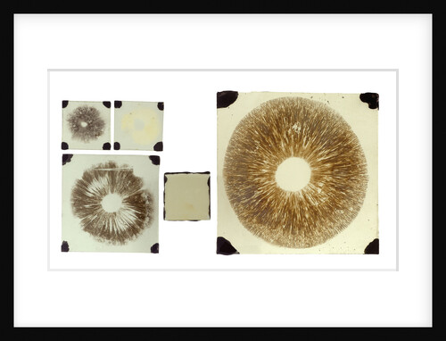 Five double plates of square glass of various sizes by unknown