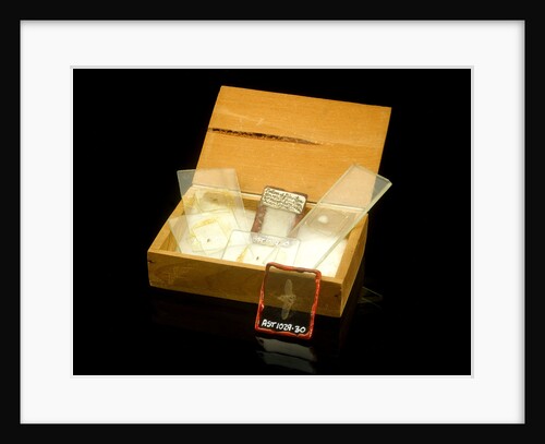 Microscope slides and box by Unknown