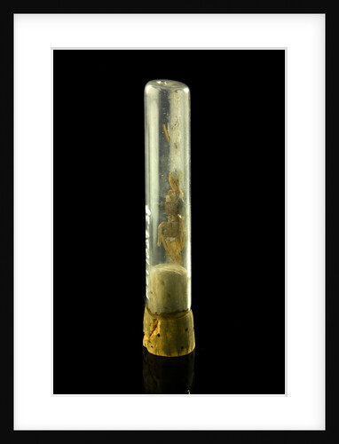 Specimen tube by unknown