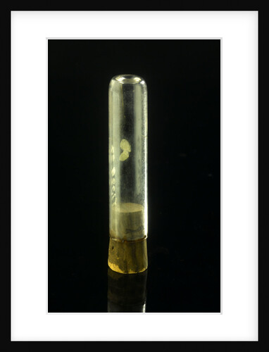 Empty specimen tube with cork by unknown