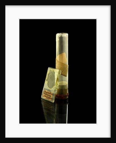 Phial containing volcano dust by unknown