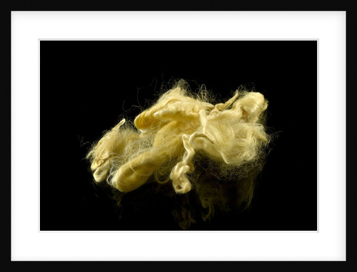 Two skeins of raw silk in an envelope by unknown