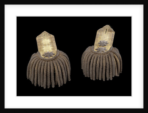 Royal Naval uniform: pattern 1795 by unknown