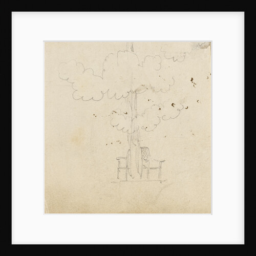 Study of a tree with two chairs either side of its trunk by Thomas Baxter
