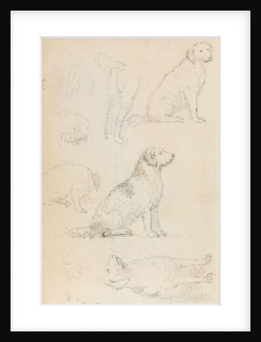 Studies of Nelson's dogs (verso) by Thomas Baxter