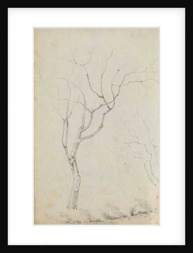 Study of small trees with low shrubs beneath them (verso) by Thomas Baxter