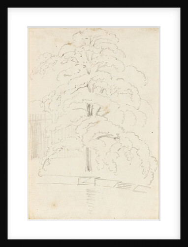 A study of a tree over water (verso) by Thomas Baxter