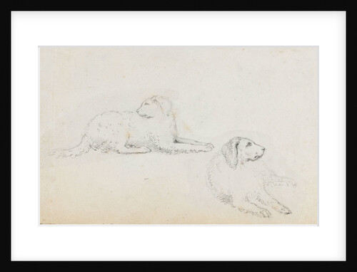 Studies of Nelson's dogs (recto) by Thomas Baxter