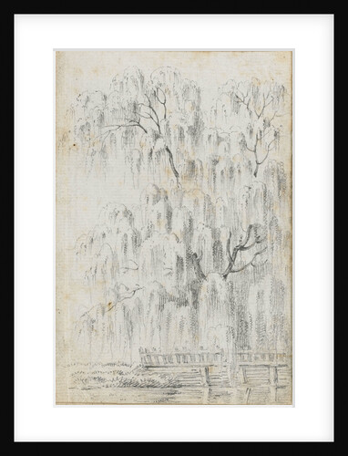 Study of a tree overhanging water at Merton (recto) by Thomas Baxter