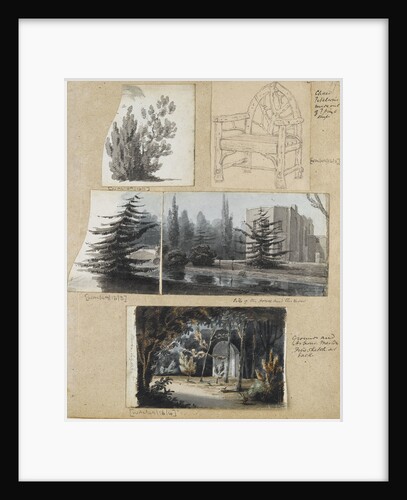 A study of a shrub and and chair, views of Merton Place by Thomas Baxter