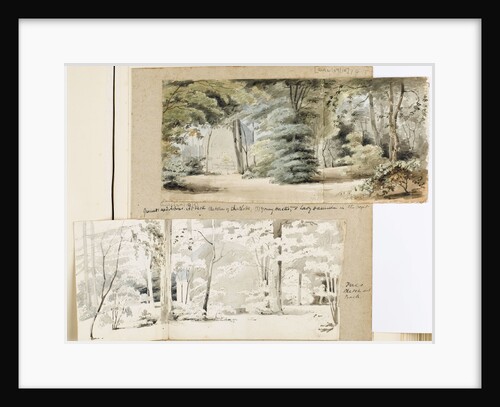 Part of the grounds at Merton with an arbour and trees by Thomas Baxter