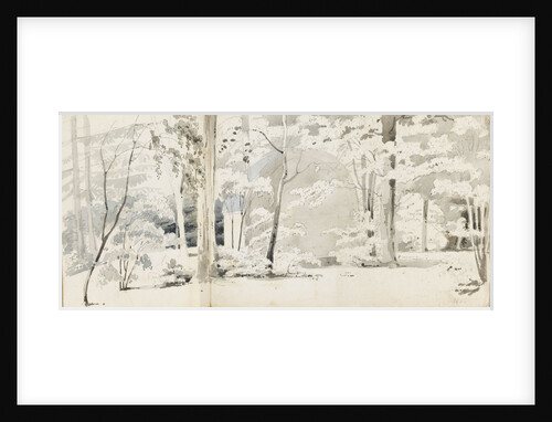 An arbour surrounded by trees (recto) by Thomas Baxter