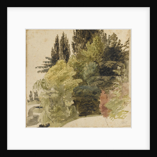 A study of trees in the grounds at Merton Place by Thomas Baxter