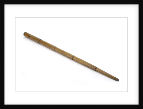Walking stick telescope by William Harris & Co.