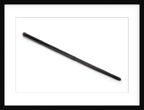Walking stick telescope by unknown