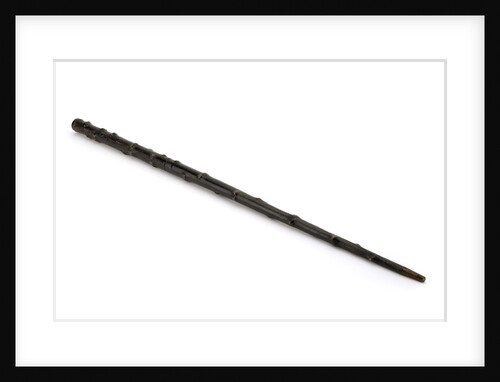 Walking stick telescope by Thomas Harris & Son