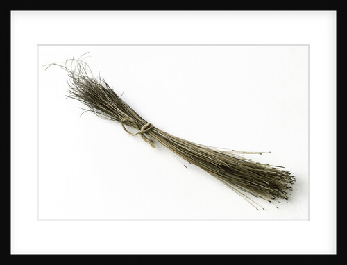 Bristles by unknown