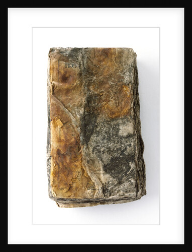 Bible - back by unknown