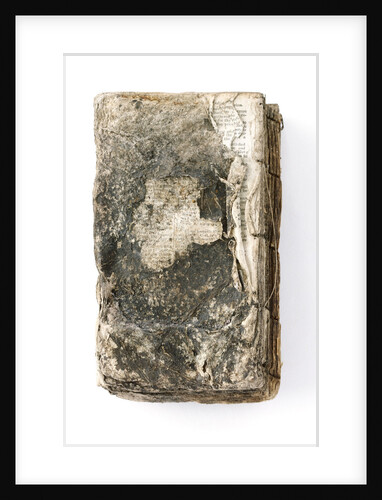 Bible - back by unknown