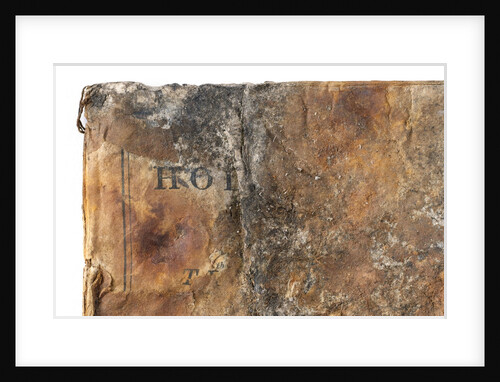Bible - back by unknown