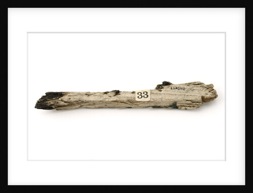 Timber fragment by unknown