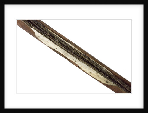 Bow, detail by Inuit