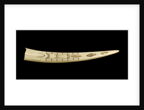 A cribbage board and two pegs, carved from a walrus tusk with a polar bear, walrus head, and three seals carved in relief by Inuit