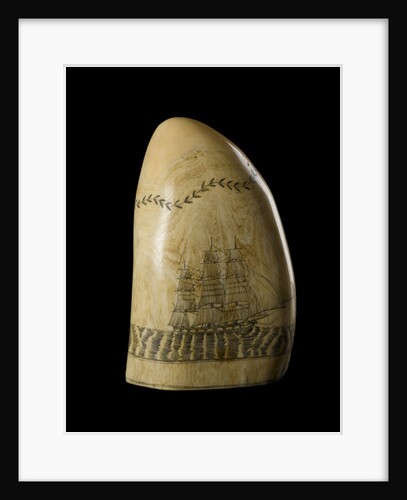Whale tooth by unknown