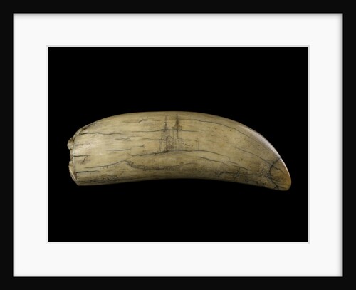 Whale tooth by unknown