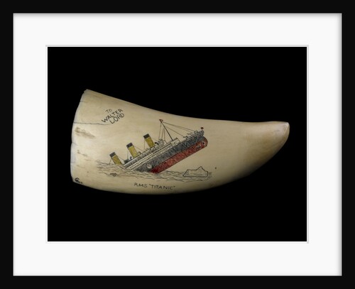Whale tooth by unknown
