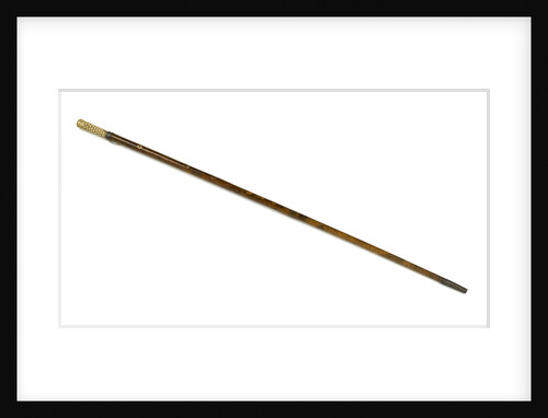 Walking stick by unknown