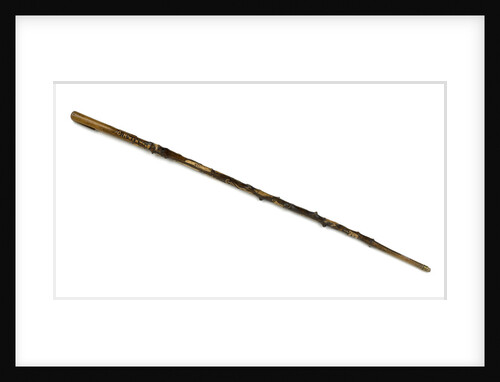 Walking stick by unknown