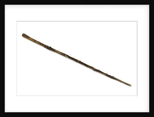 Walking stick by unknown