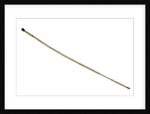 Walking stick by Unknown