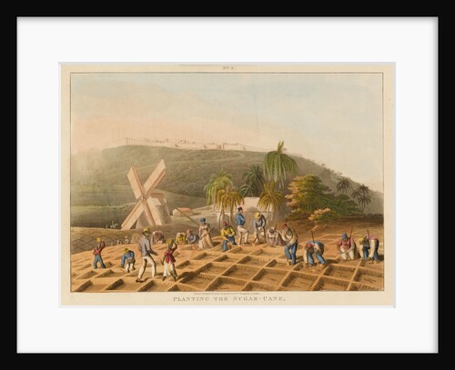 Planting the sugar cane by Infant School Society Depository
