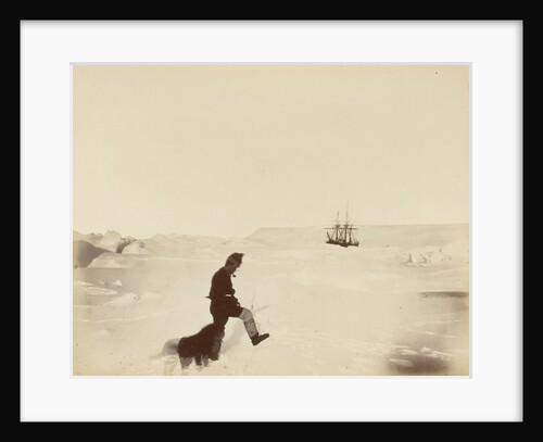 Winter quarters of the 'Alert'; Cape Rawson in the distance; Mr White and 'Nelly', during British Arctic Expedition, 1875-1876. by George White