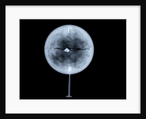 Globe x-ray by Charles Price