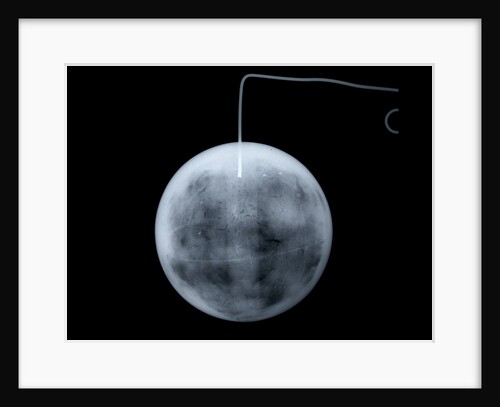 Globe x-ray by George Adams
