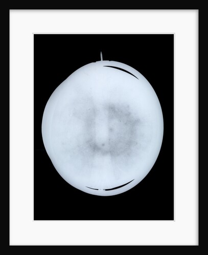 Globe x-ray by Willem Jansz Blaeu