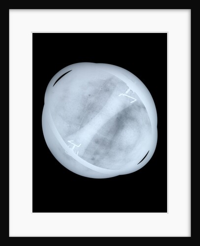 Globe x-ray by Willem Jansz Blaeu