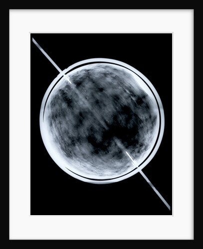 Globe x-ray by Jacob Floris van Langren