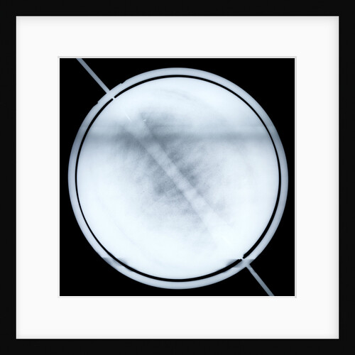 Globe x-ray by Willem Jansz Blaeu
