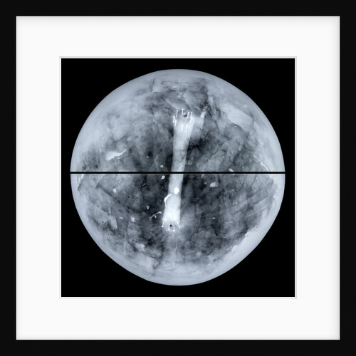 Globe x-ray by Jacques Hardy