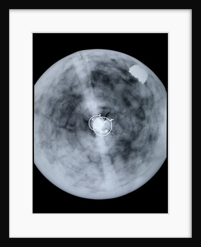 Globe x-ray by Jodocus Hondius
