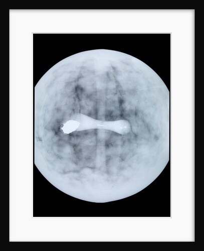 Globe x-ray by Jodocus Hondius