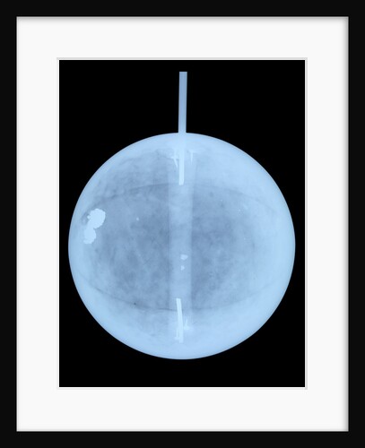 Globe x-ray by William Bardin