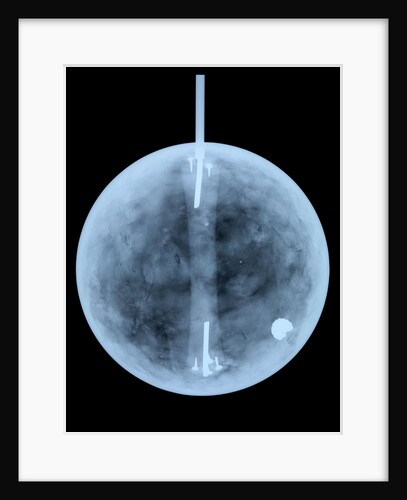 Globe x-ray by William Bardin