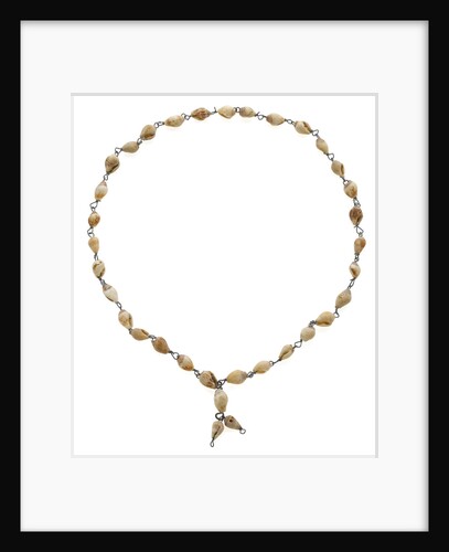 Cowrie shell necklace joined with metal links by unknown