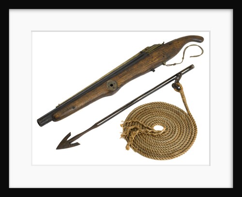 Whaling harpoon gun by W.W. Greener